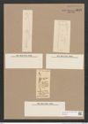 Pleurosigma sp. (de-Toni-Nr.: Genus 13) Zeichnungen Sammlung Grunow Nr. 2178 (NHMW-BOT-W0369244)